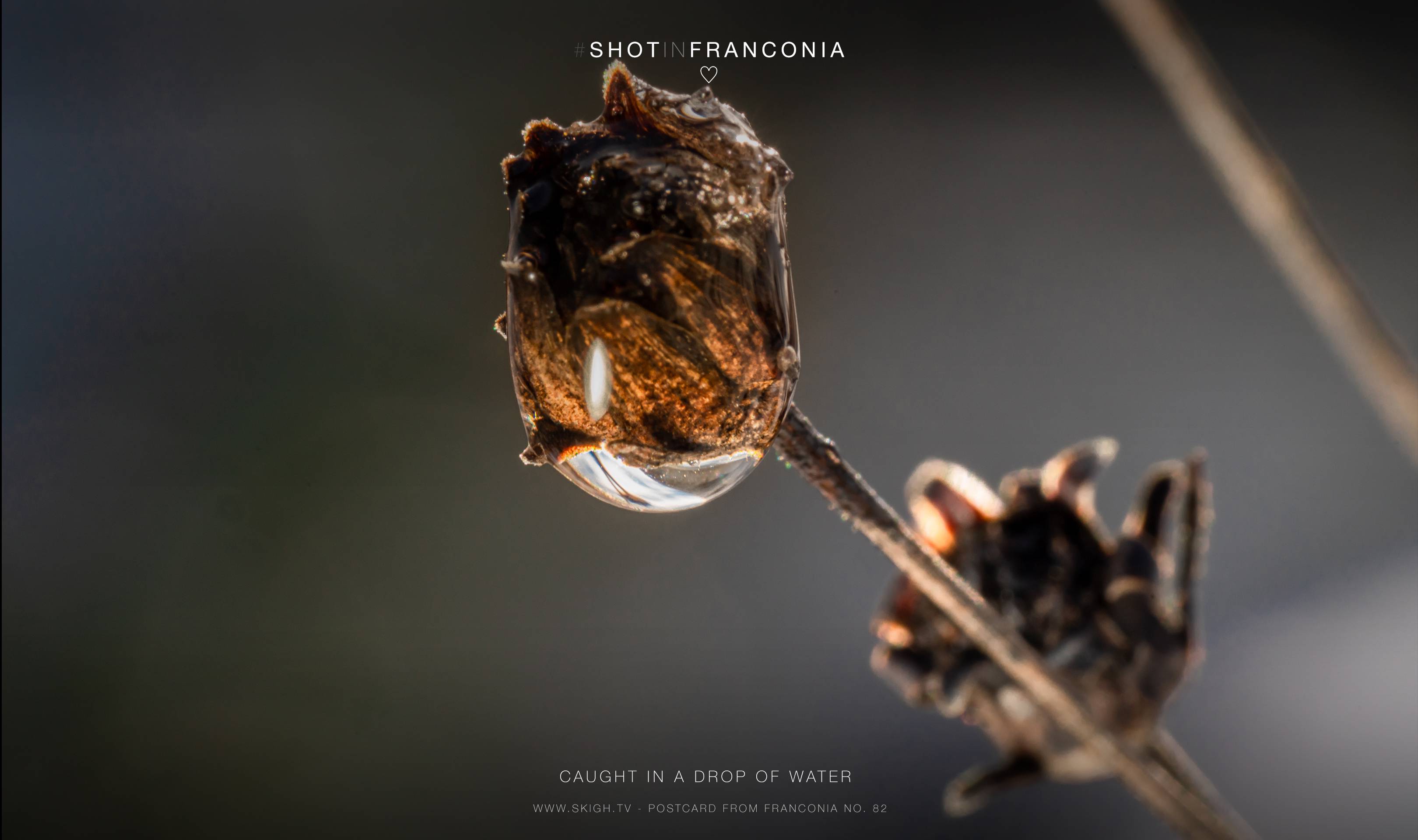 Caught in a drop of water