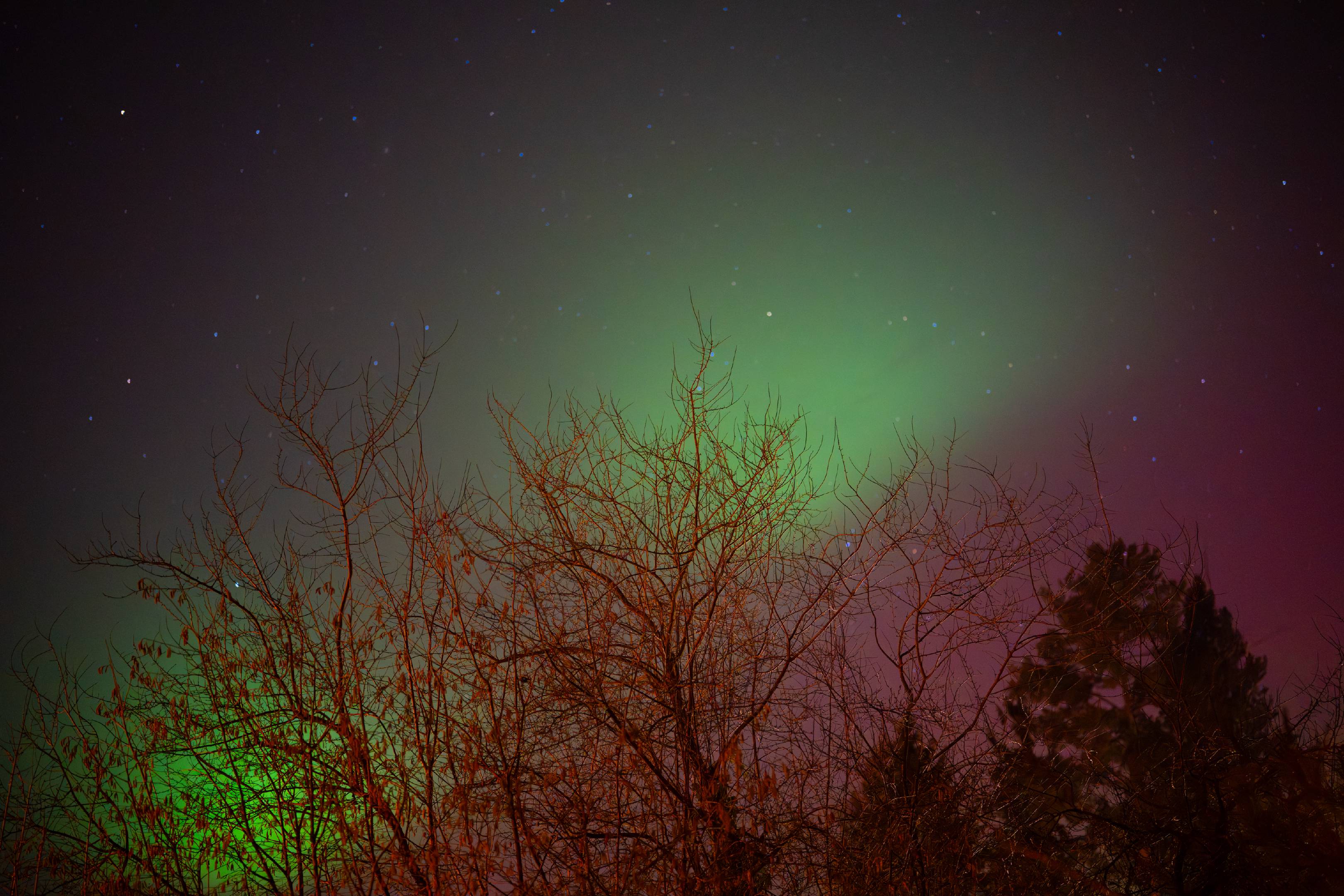 Aurora borealis over Franconia