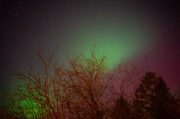 Aurora borealis over Franconia
