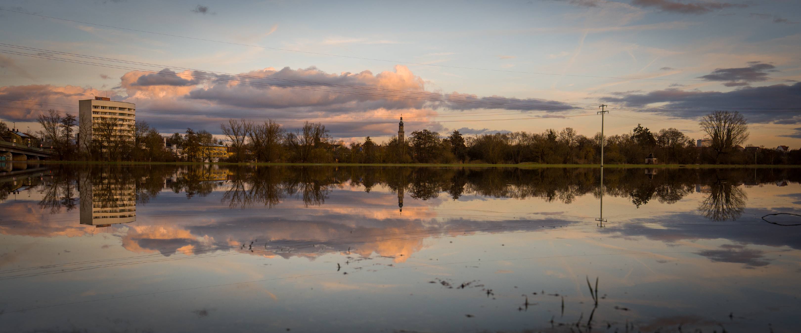 Flooded meadows