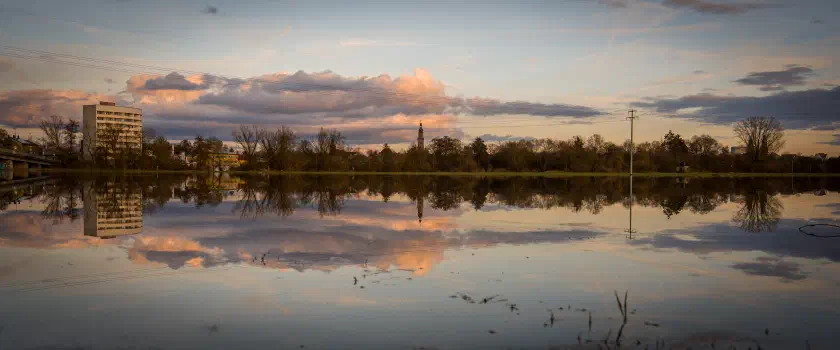 Flooded meadows