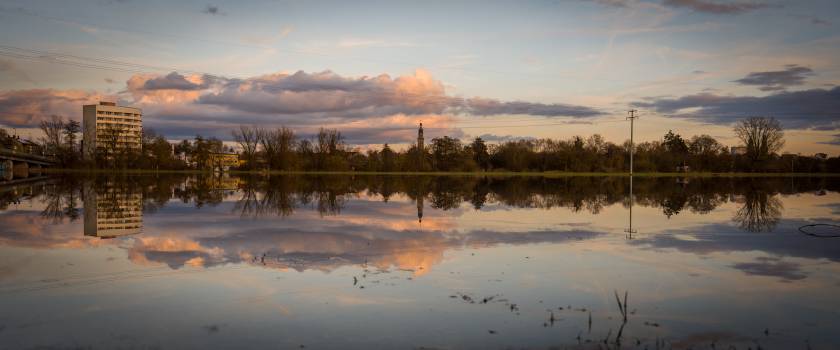 Flooded meadows