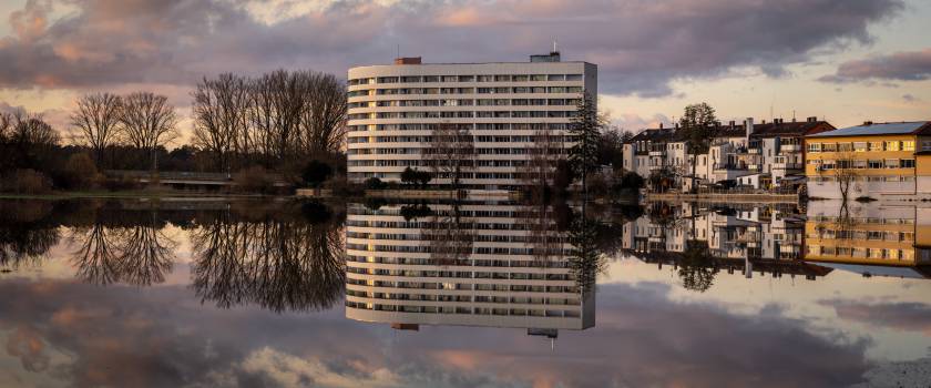 "Banana" reflections