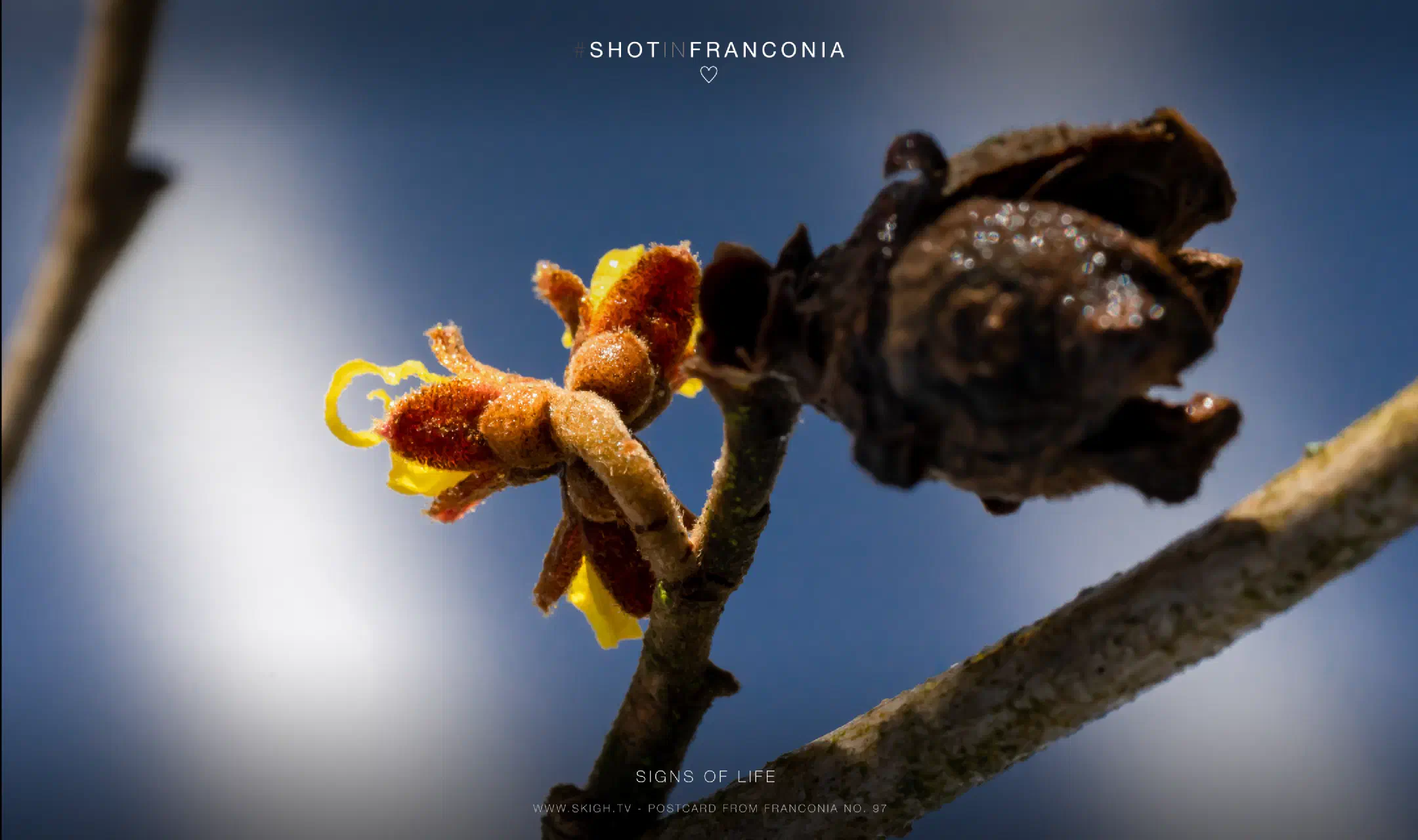 Signs of life