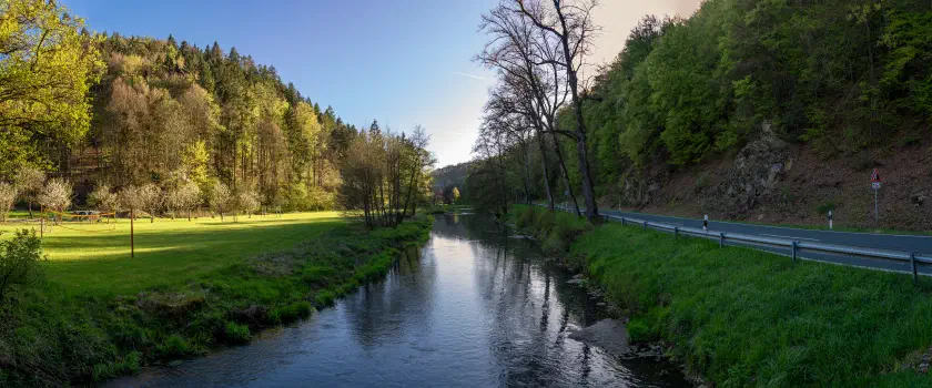 Wiesent