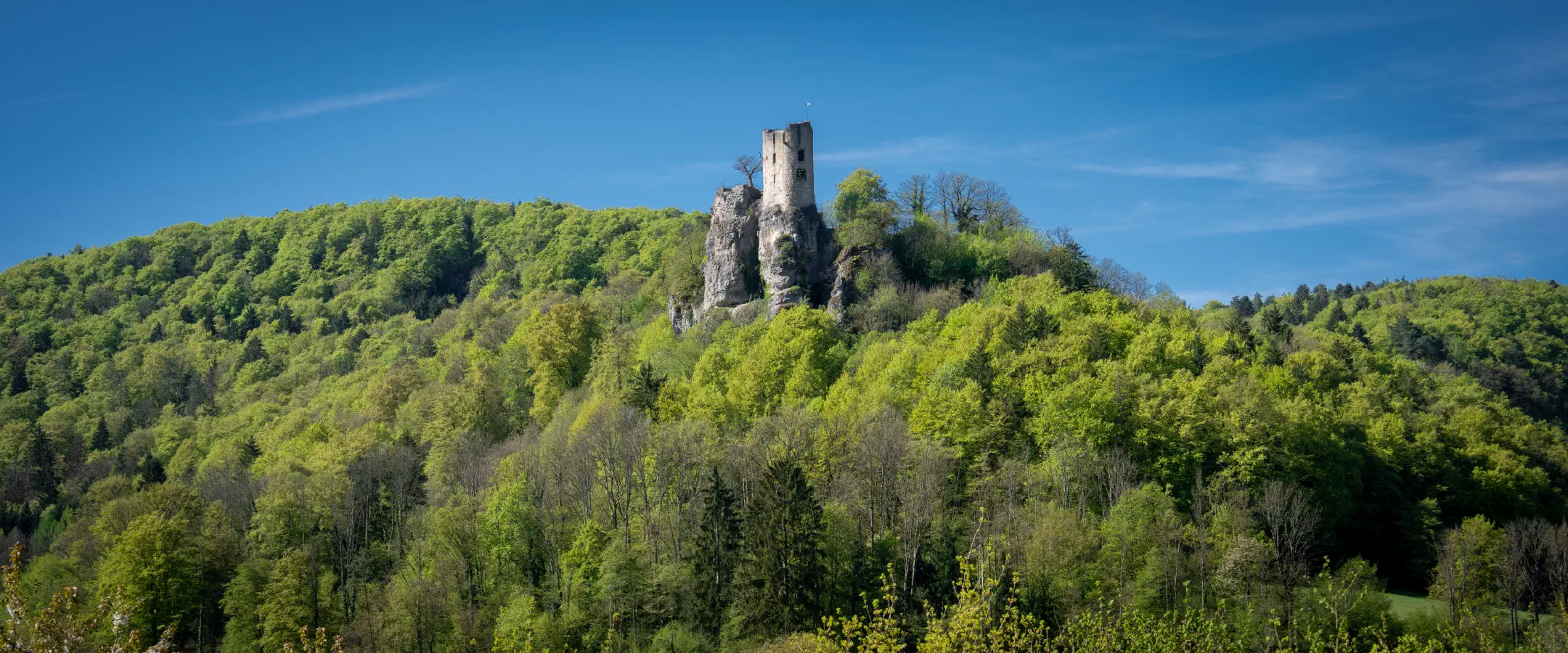 Ruine Neideck