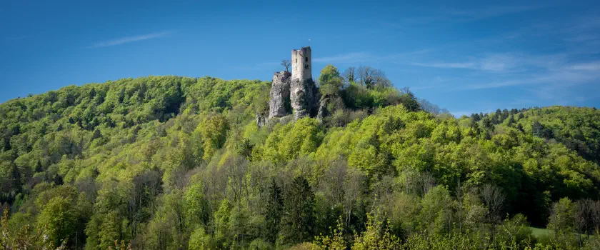 Ruine Neideck