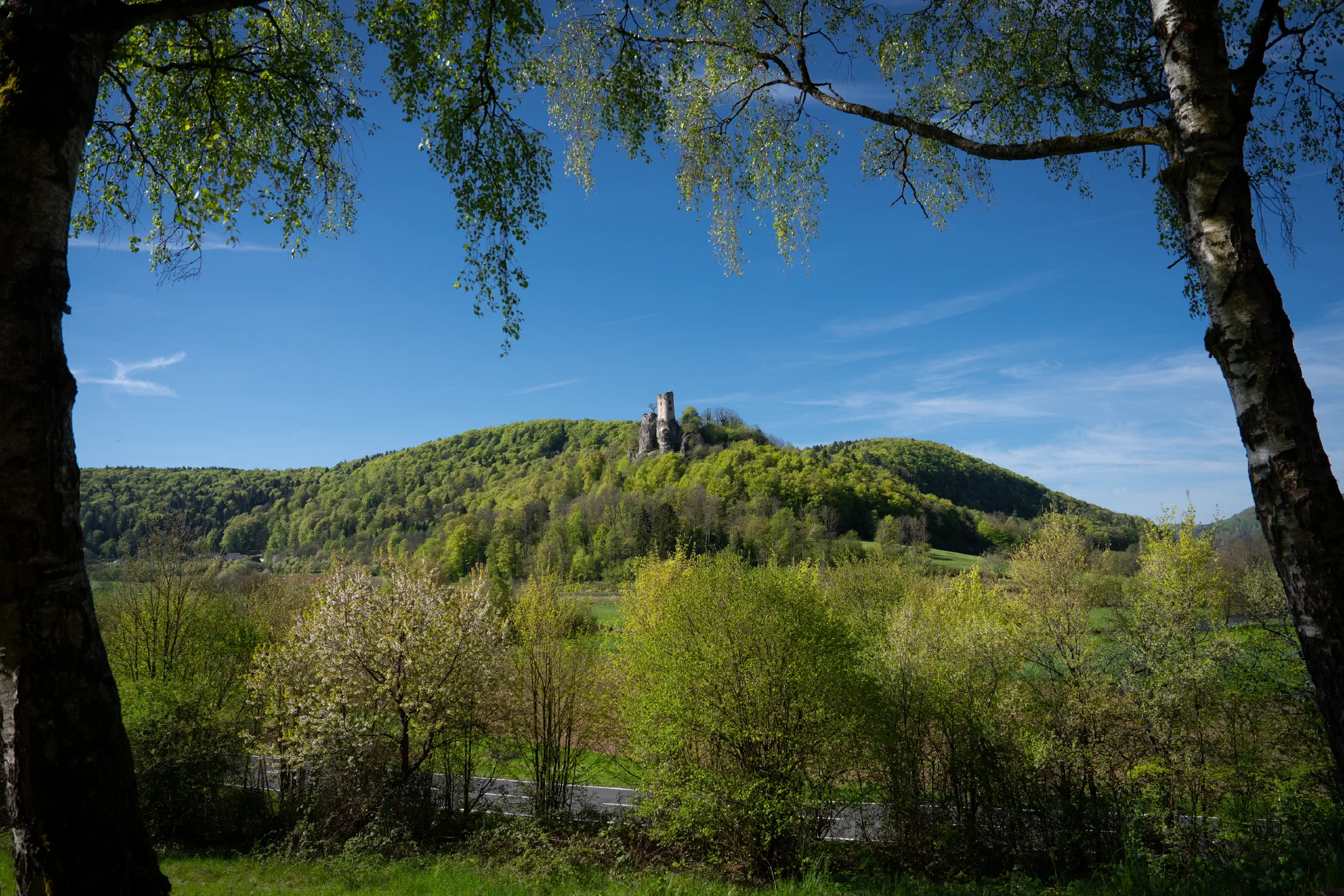 Ruine Neideck | 1/1250s * f3.5 * ISO 100 * 24mm - FE 24-70mm F2.8 GM II - ILCE-7M5 Ruine Neideck