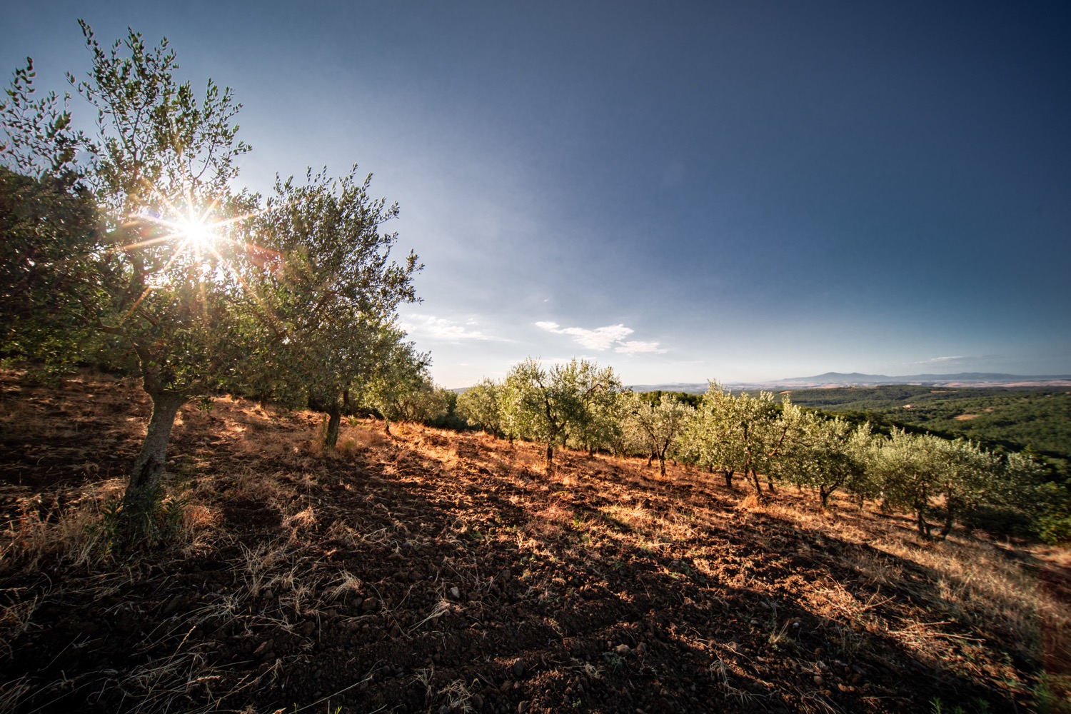 Monte Amiata