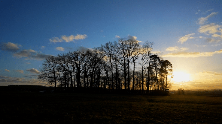 February Sunset Timelapse